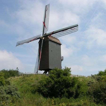 Hotel Carnac Koksijde Dış mekan fotoğraf