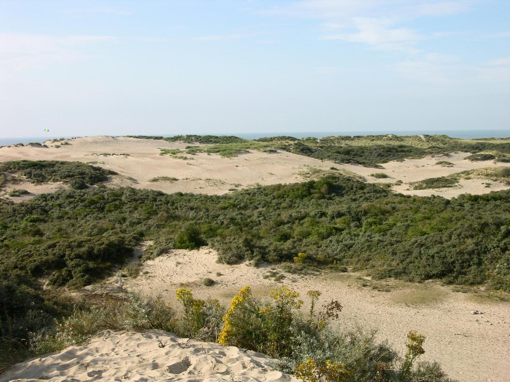 Hotel Carnac Koksijde Dış mekan fotoğraf